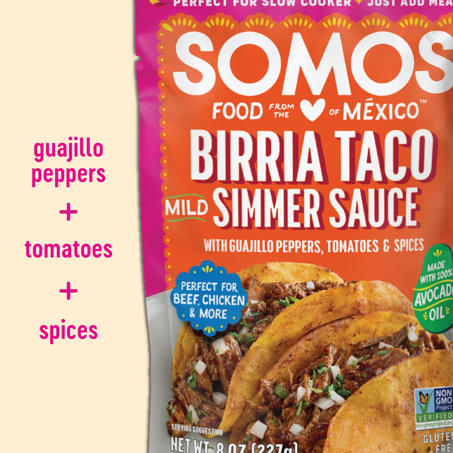 Birria Simmer Sauce Pouch (2 Pack)